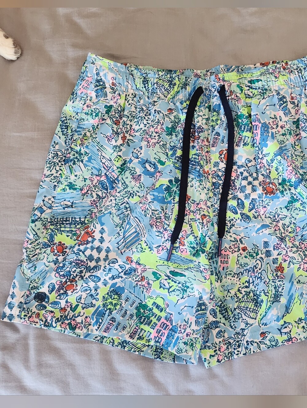 Men's Lilly Pulitzer Southern Tide bathing suit size S